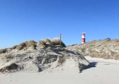 Ferienwohnung SEEROSE auf Borkum in den Ostdünen