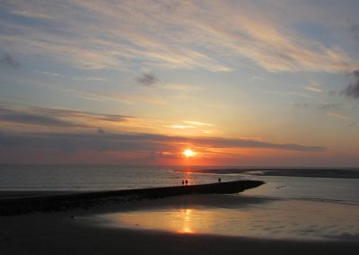 Ferienwohnung SEEROSE auf Borkum in den Ostdünen