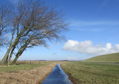 Ferienwohnung SEEROSE auf Borkum in den Ostdünen